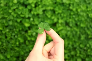 female-hand-holding-clover-leaf-closeup